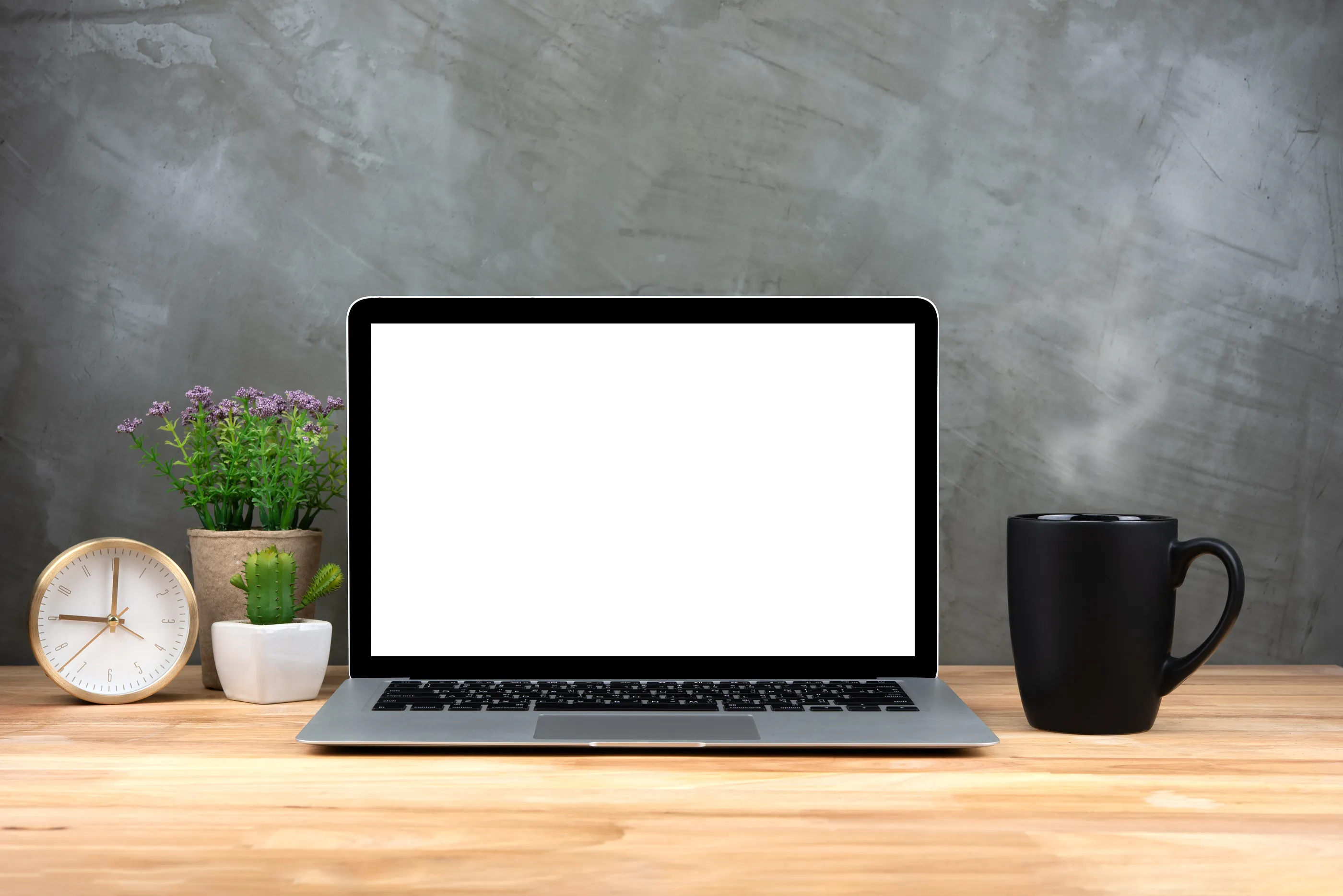 Best Study Habits for Preparing for the AANP Exam header image