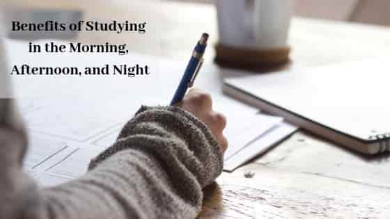 Benefits of Studying in the Morning, Afternoon, and Night header